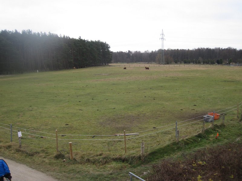 CTF Celle 059